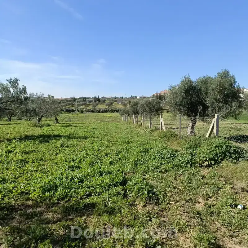 Av terrain 1680m à hammamet sud monchar - Miniature 2