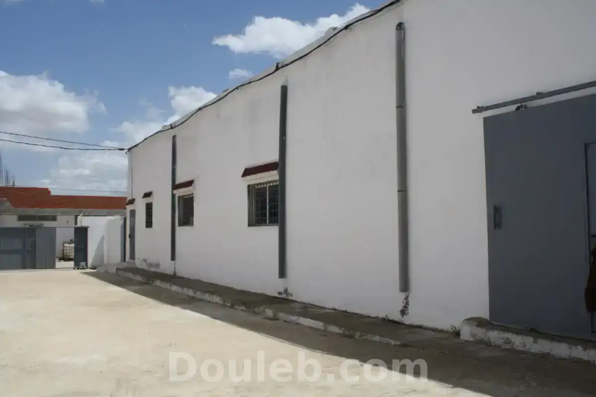 Gps zaghouane z ind 2 ennouzha - Miniature 3