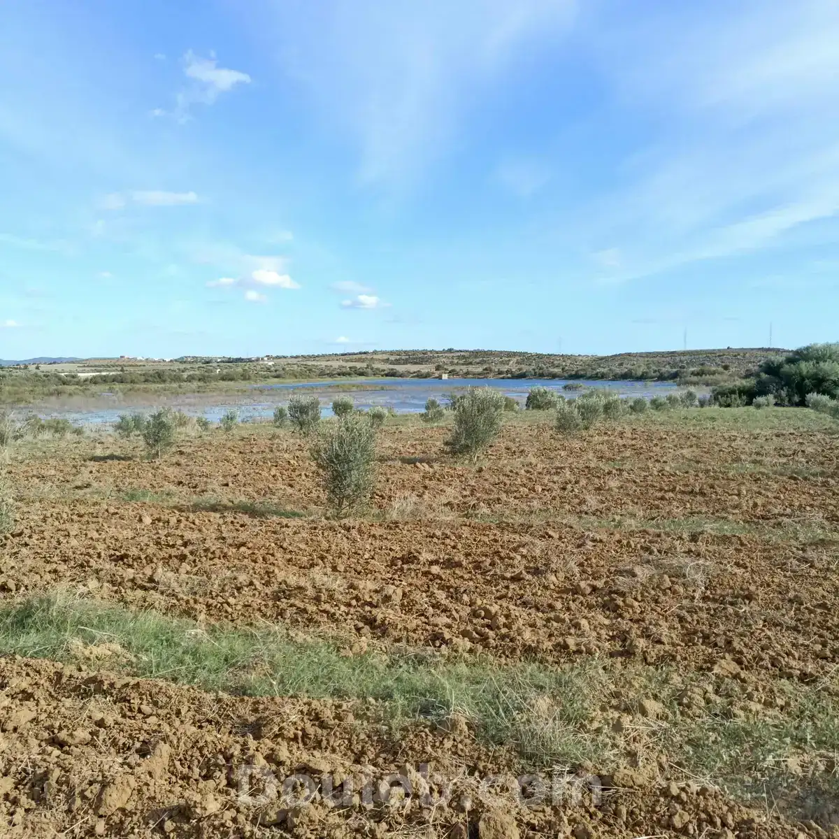 Av 3000m à hammamet sud - Miniature 3