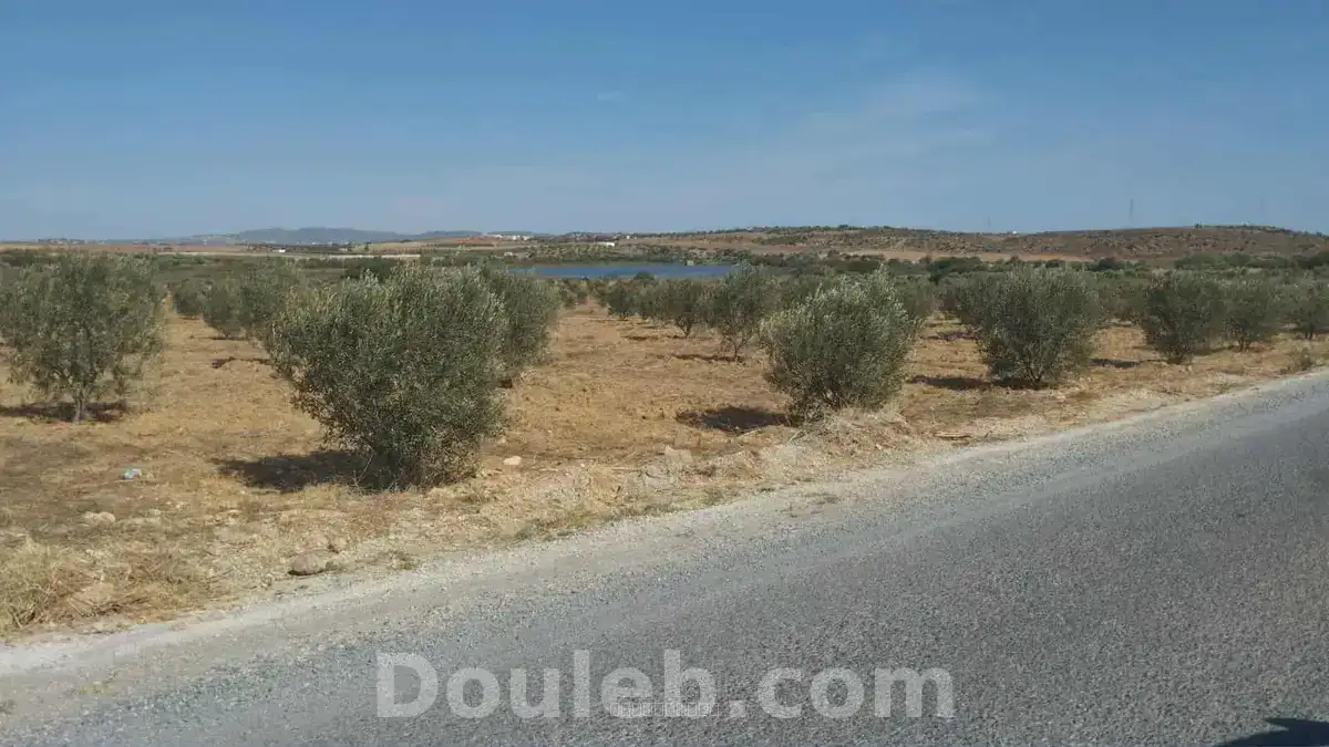 Av de 1000m à 3000m à monchar - Photo 1