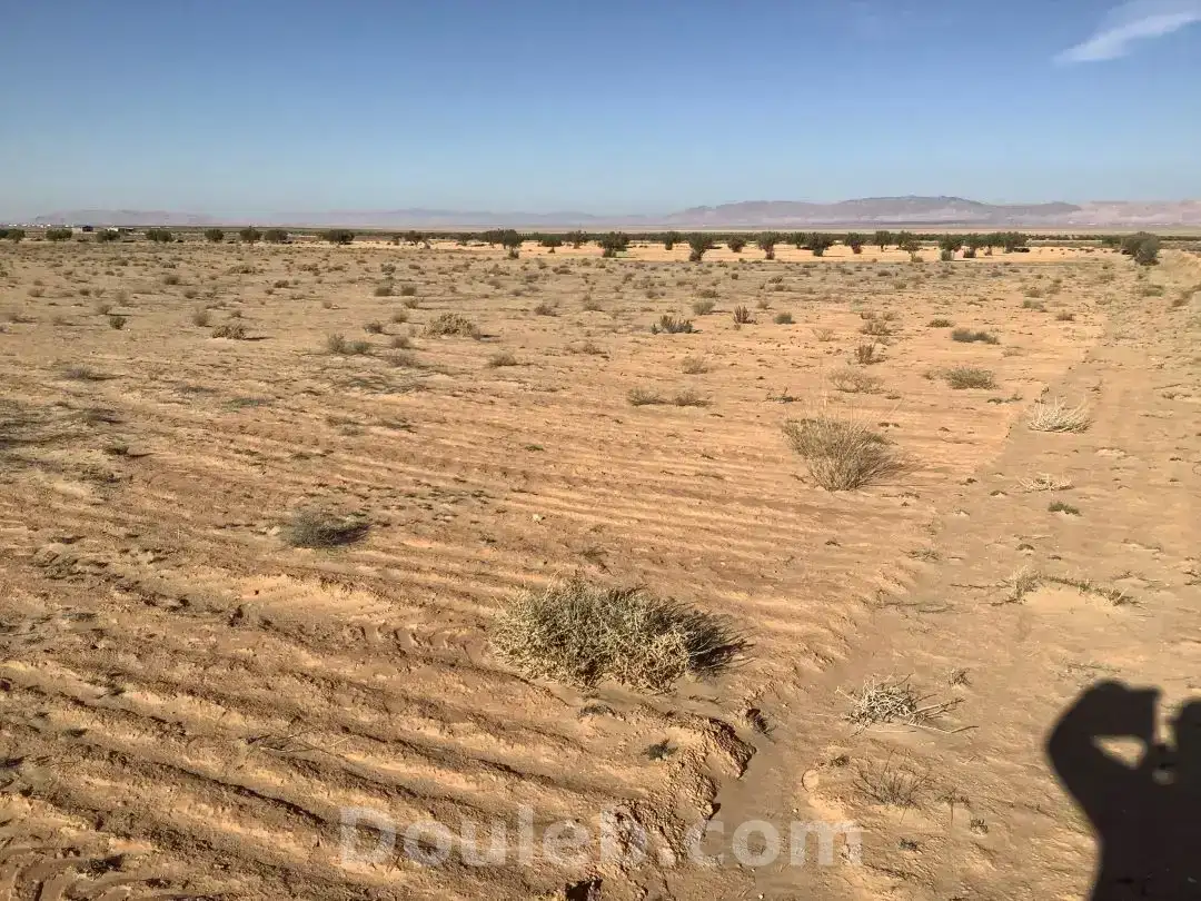 Profiter l'occasion - Photo 1