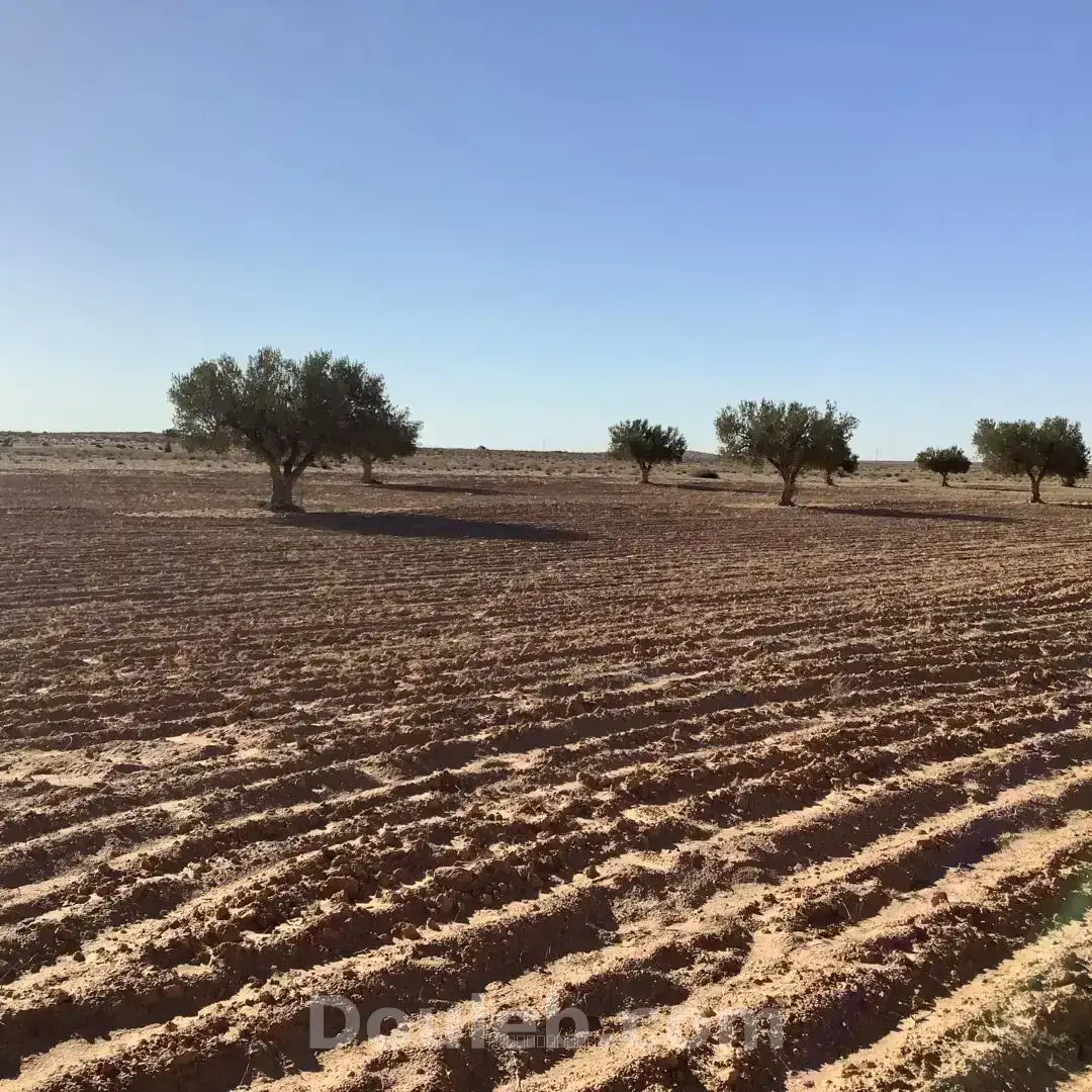 Profiter l'occasion - Miniature 2