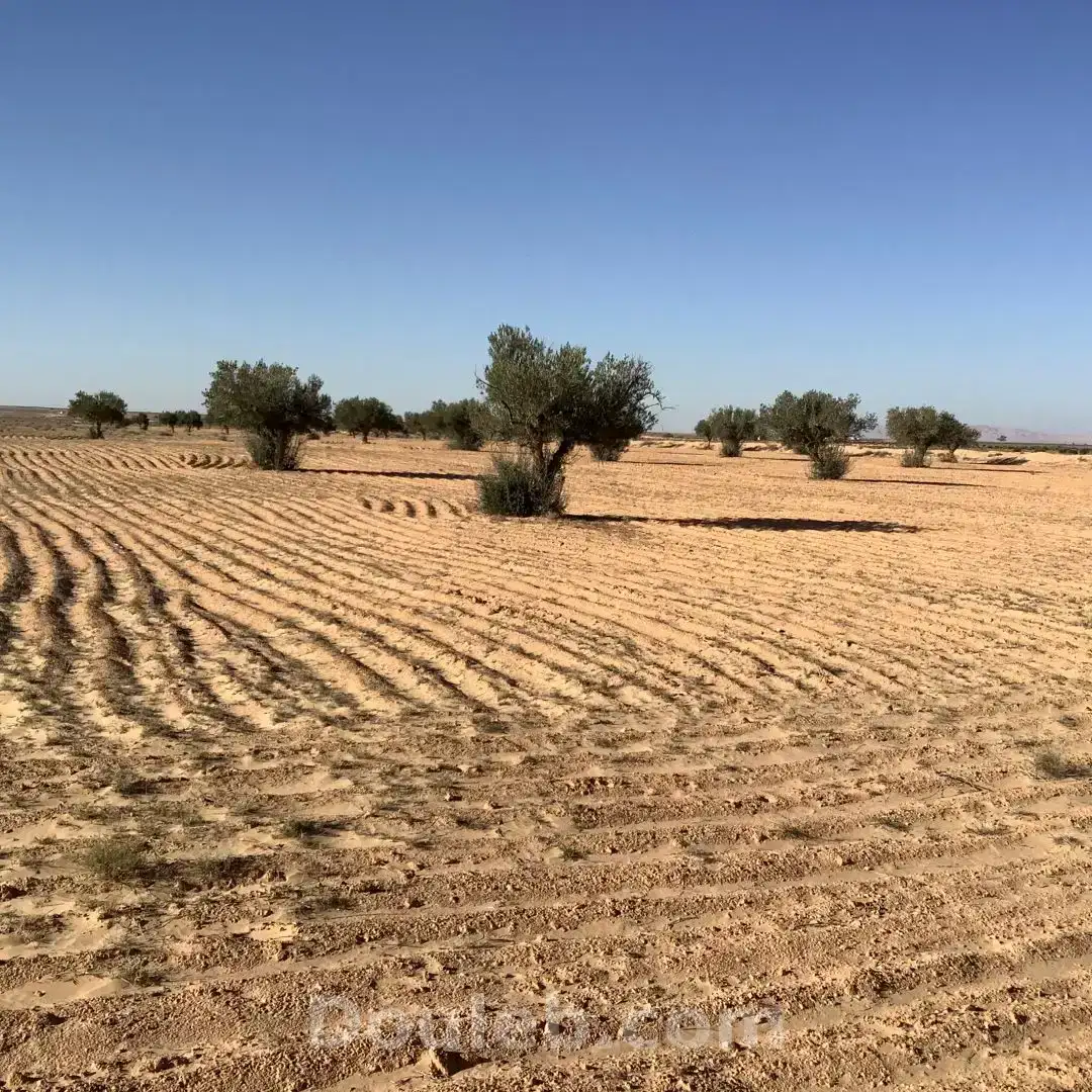 Grande surface agricole - Miniature 2