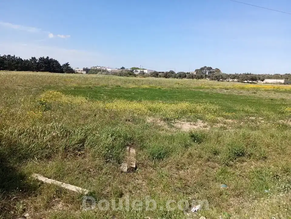 Terrain commercial elhaouaria - Miniature 2