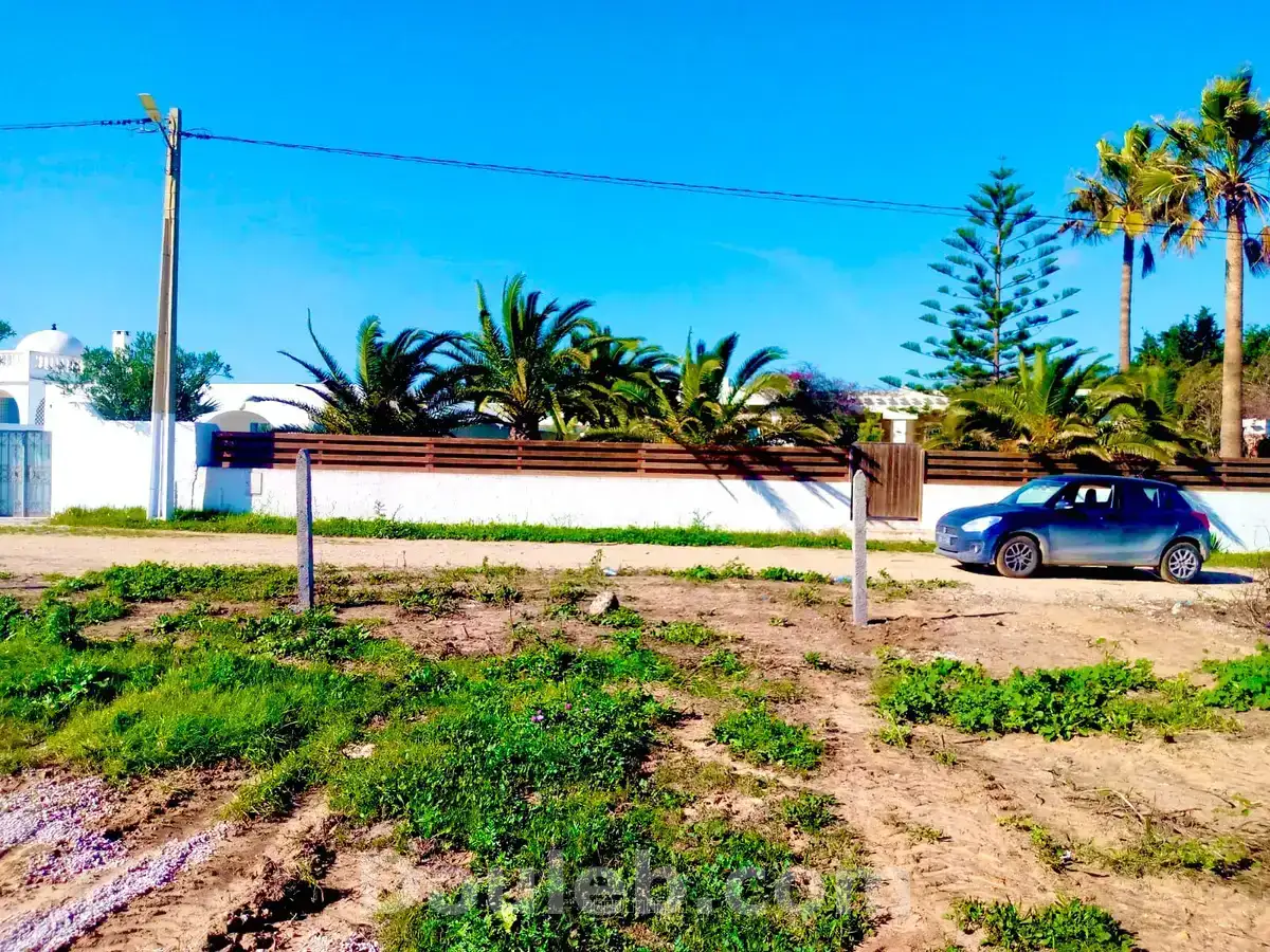 Terrain à kerkouane kelibia - Miniature 3