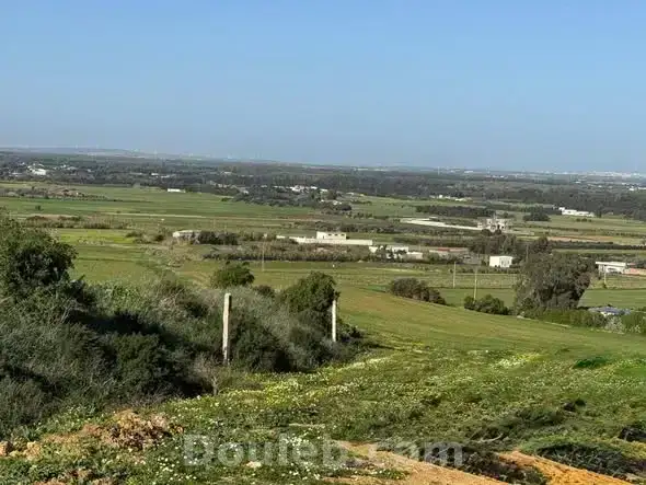 Lotissement azmour - Miniature 2