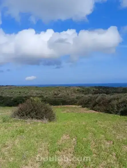 Offre limité a 1000m - Photo 1