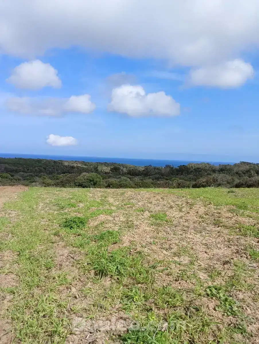 Offre limité a 1000m - Miniature 3