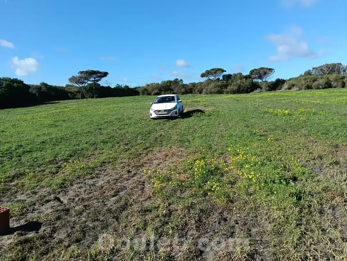 Terrain chat vue mer - Miniature 3