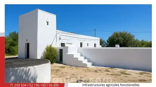 Terrain agricole d agrumes de 5 ha - Miniature 4