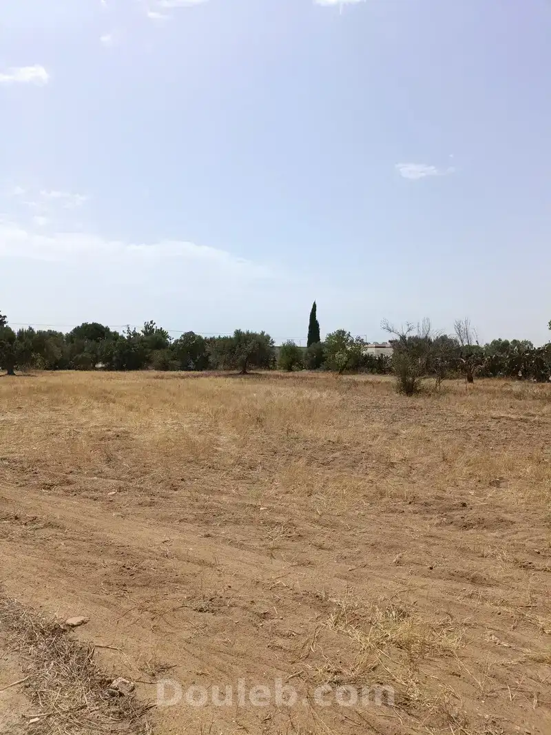 Av terrain 2100m sur la route à sidi mtir - Miniature 3