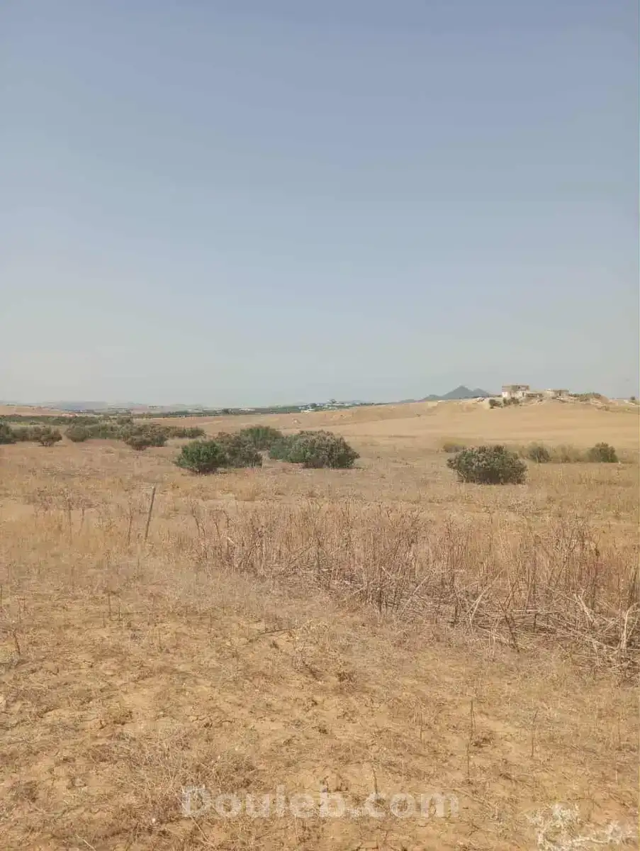 Av 7 hectares zaghouan direction hammamet - Miniature 2