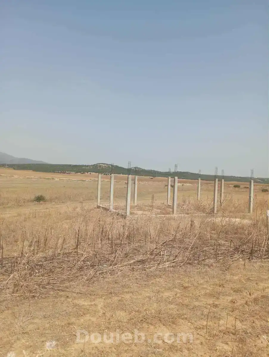 Av 7 hectares zaghouan direction hammamet - Miniature 3