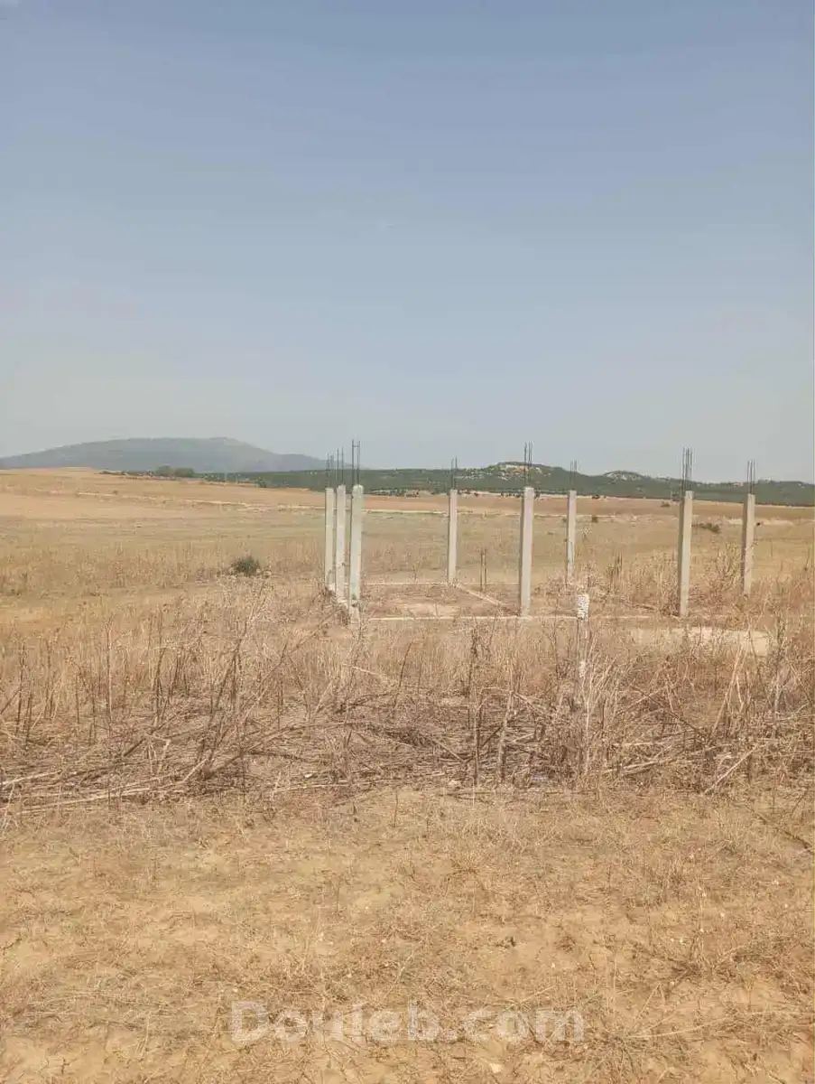 Av 7 hectares zaghouan direction hammamet - Miniature 4