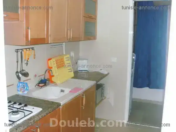 Splendide appartement s1 meublé - Miniature 4