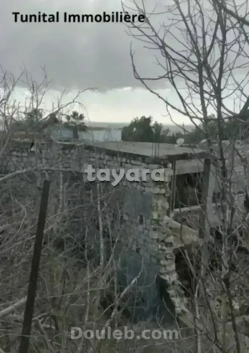 Gammarth supérieure coté journal - Photo 1