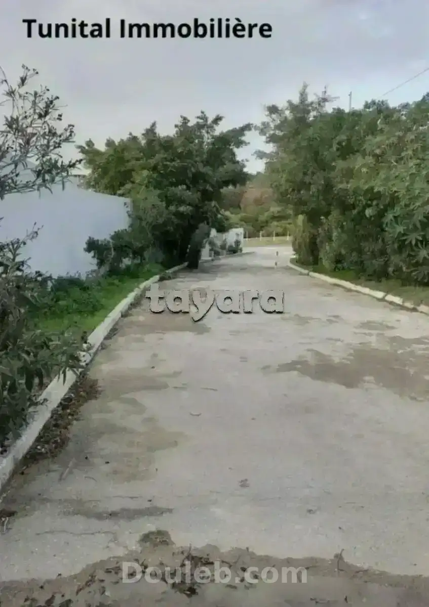 Gammarth supérieure coté journal - Miniature 2