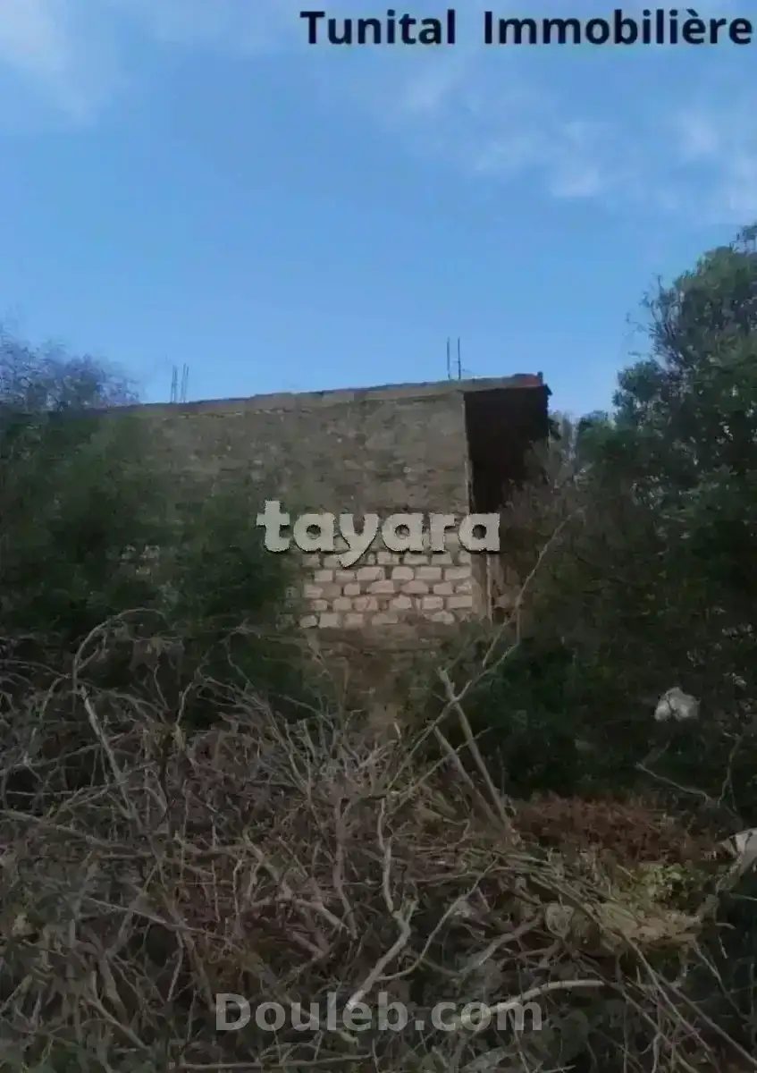 Gammarth supérieure coté journal - Miniature 3