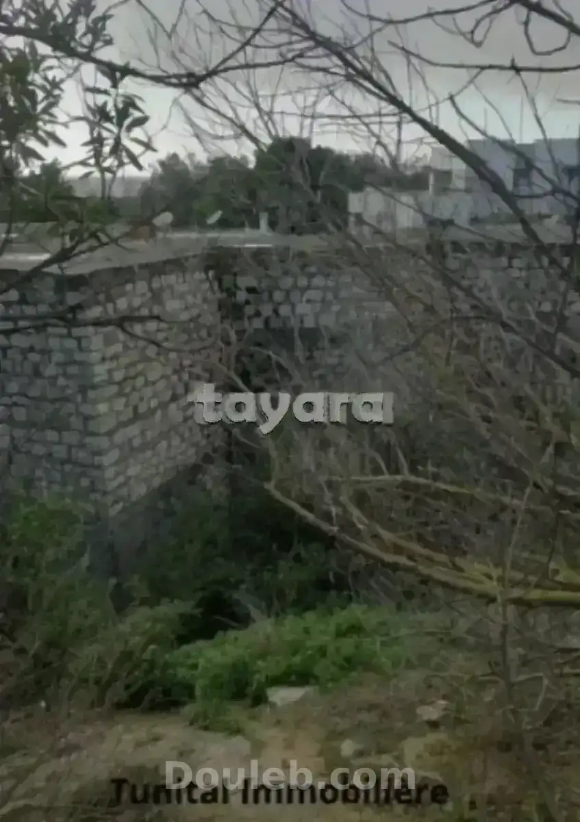 Gammarth supérieure coté journal - Miniature 4