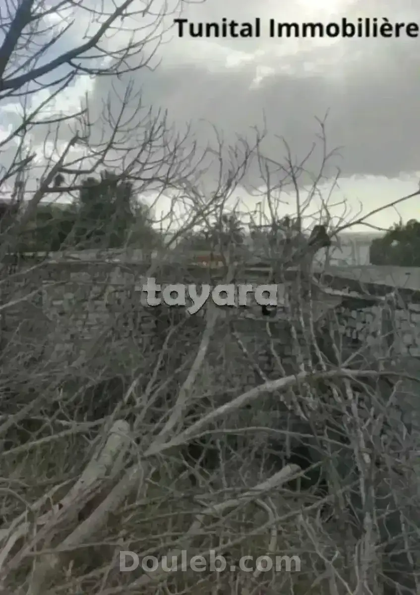 Gammarth supérieure coté journal - Miniature 5