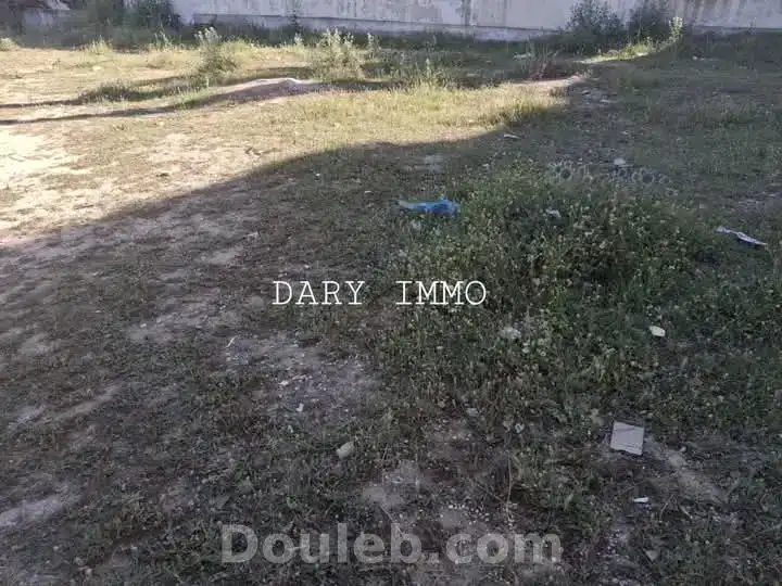 Terrain à ennasr - Photo 1