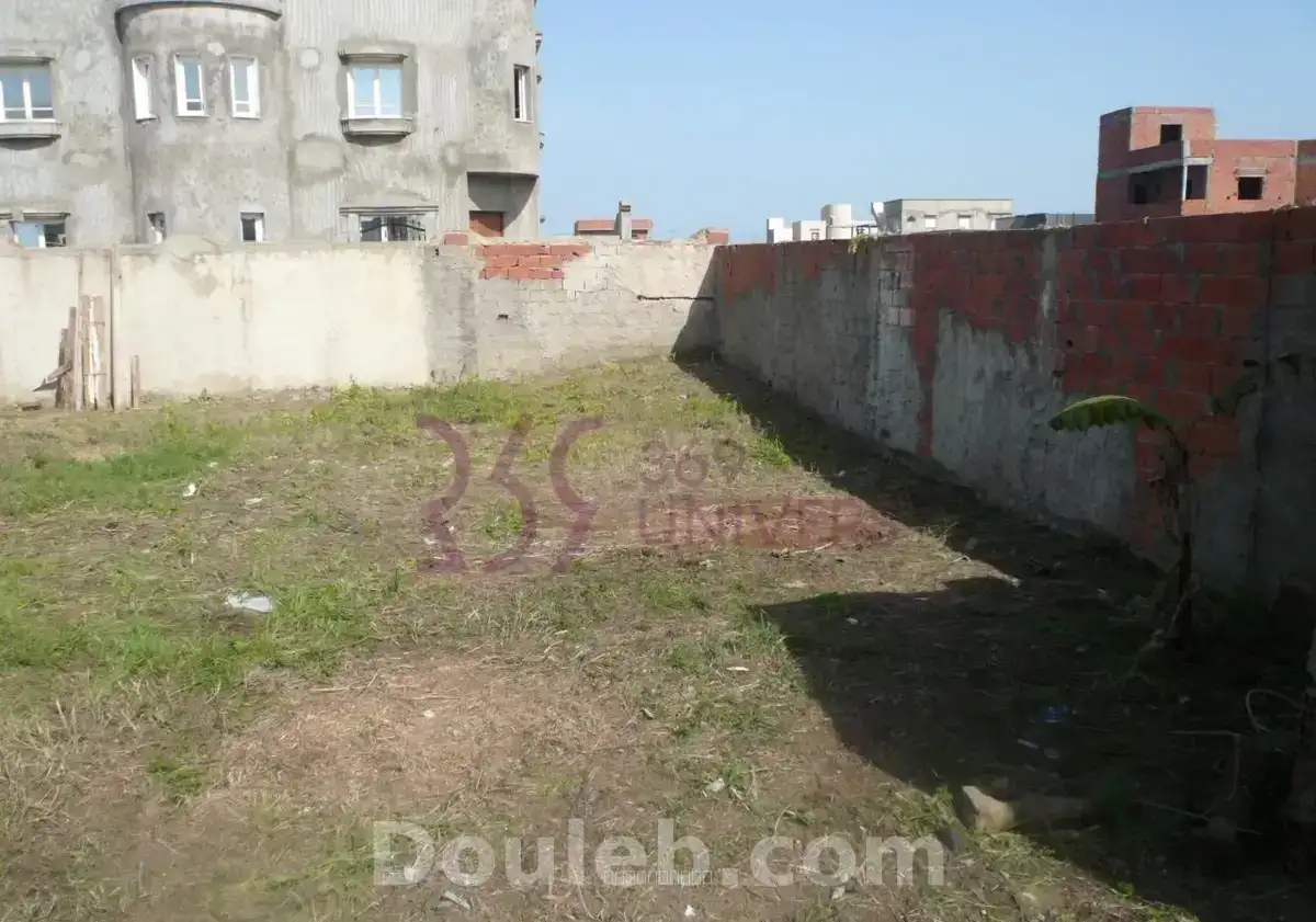 Terrain à borj touil ref st002 - Miniature 4