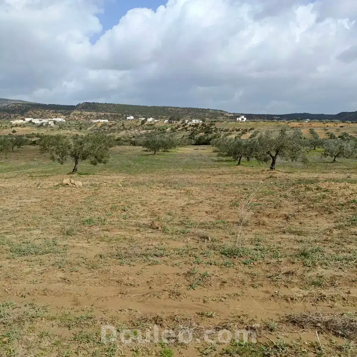 Av terrain de 4500m à hammamet - Miniature 2