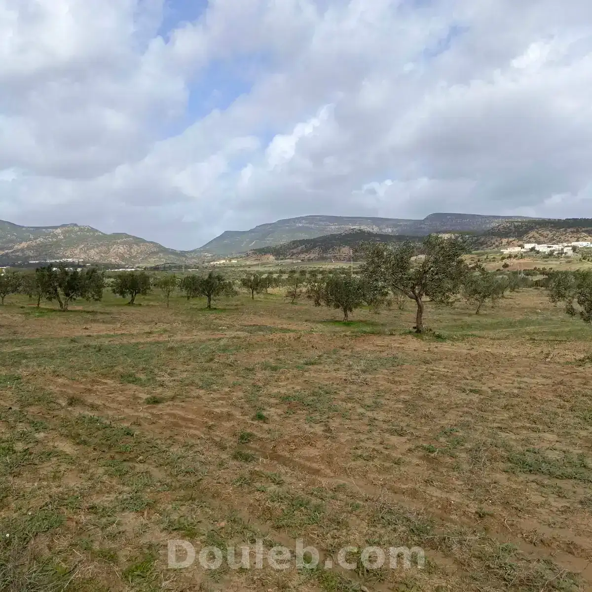 Av terrain de 4500m à hammamet - Miniature 3