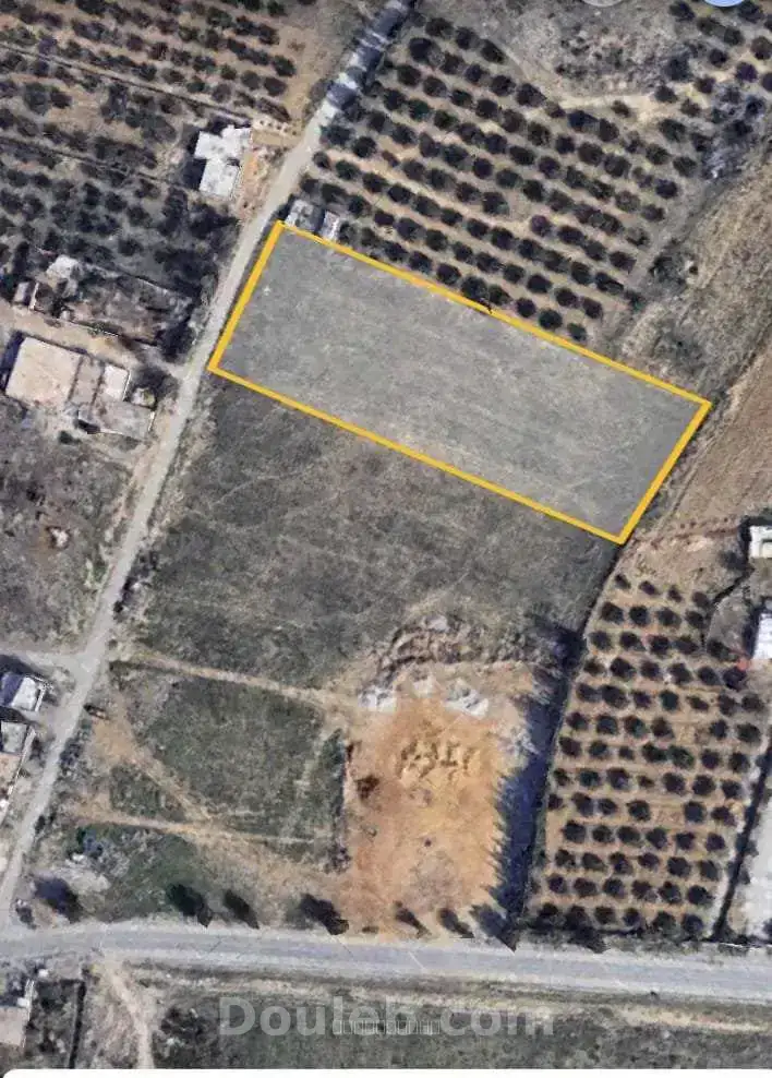 Terrain de promotion - Miniature 3