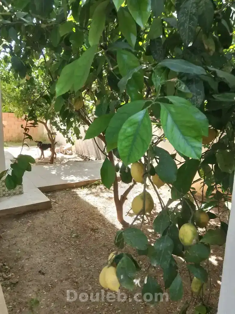 Maison au mourouj 2 - Photo 1