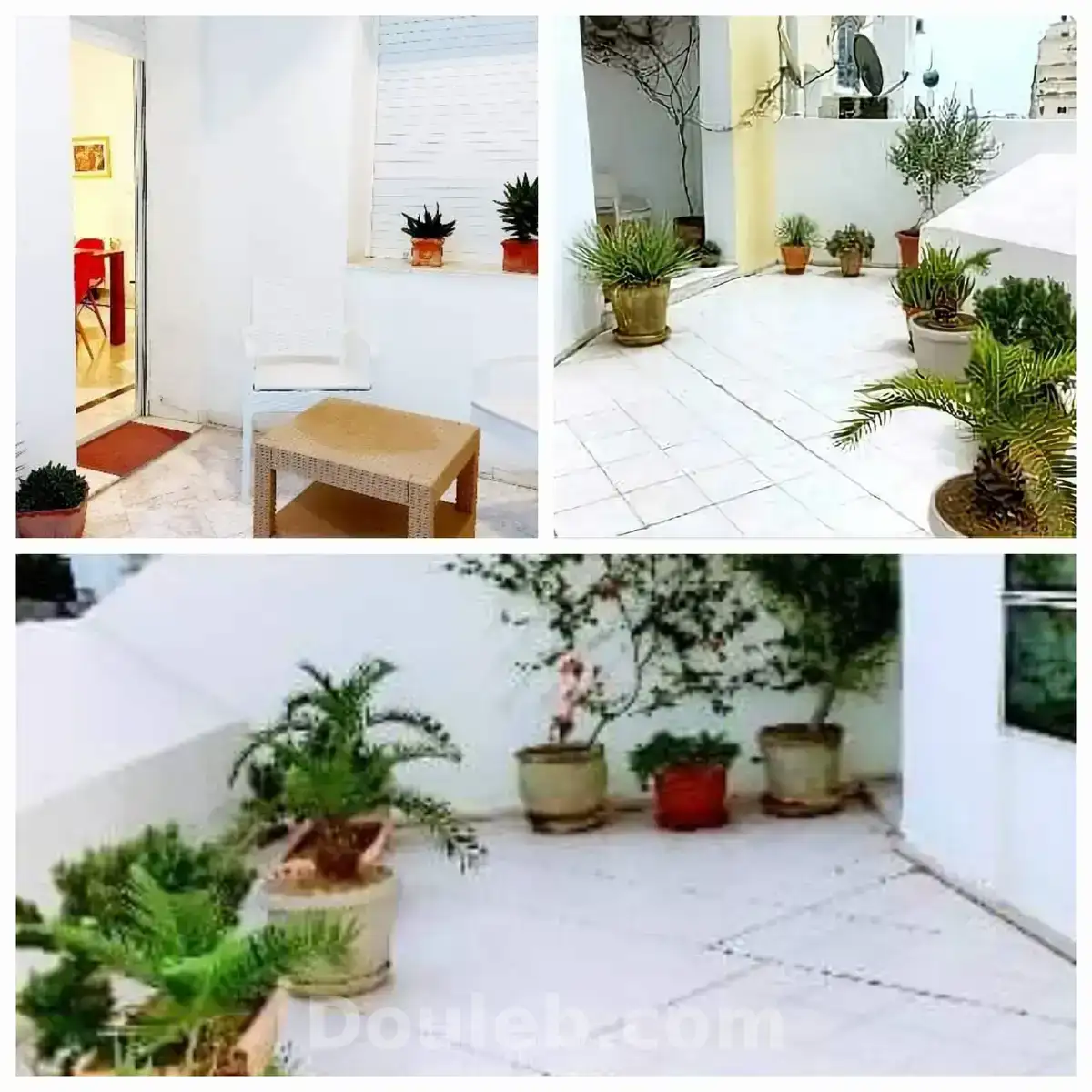 Particulier l s2meublé pour étranger - Miniature 5