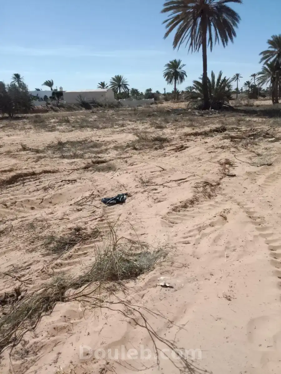 Terrain a hededda arkou - Miniature 2