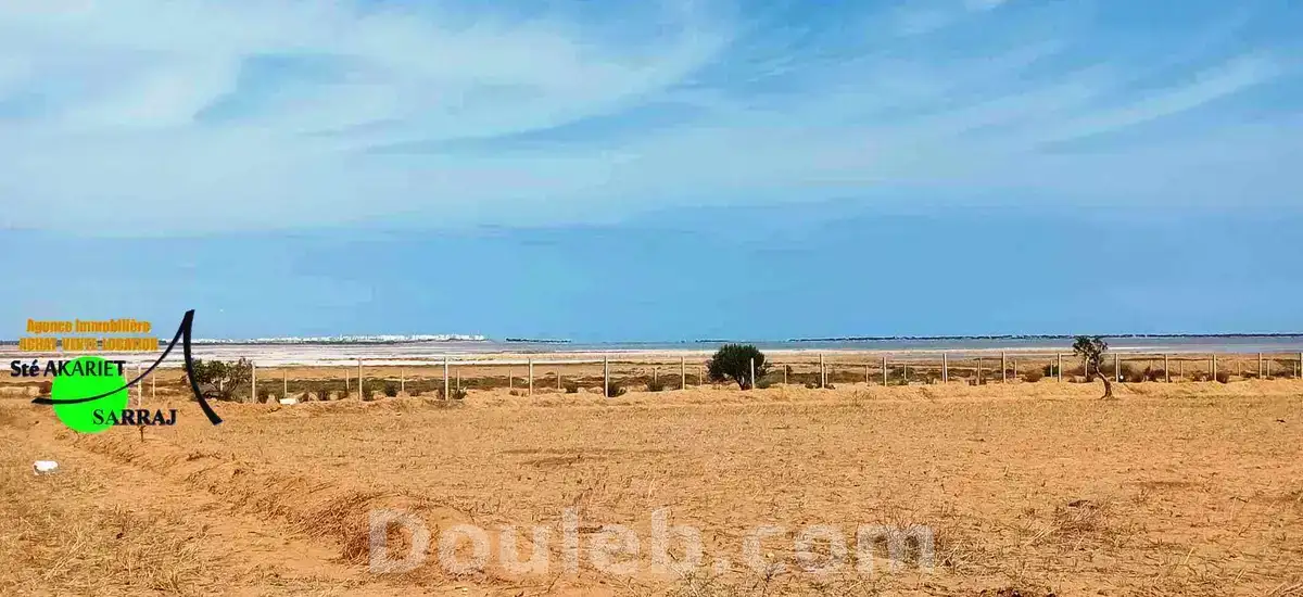 Offre à ne pas rater terrain 2300m à fokaia - Miniature 4