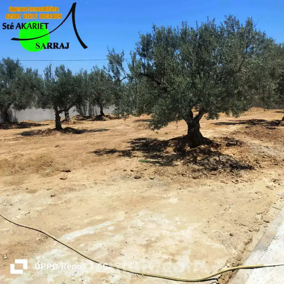 Lot clôturé 800m sur l'autoroute à kalaa seghira - Miniature 2