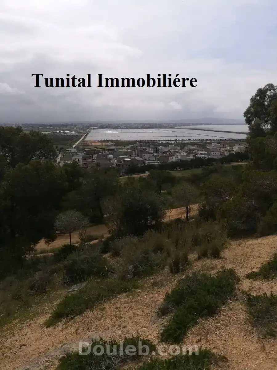 Terrain vue panoramique - Miniature 2