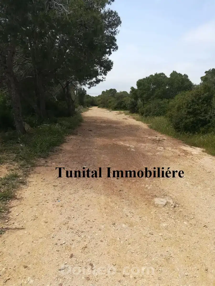 Terrain vue panoramique - Miniature 3