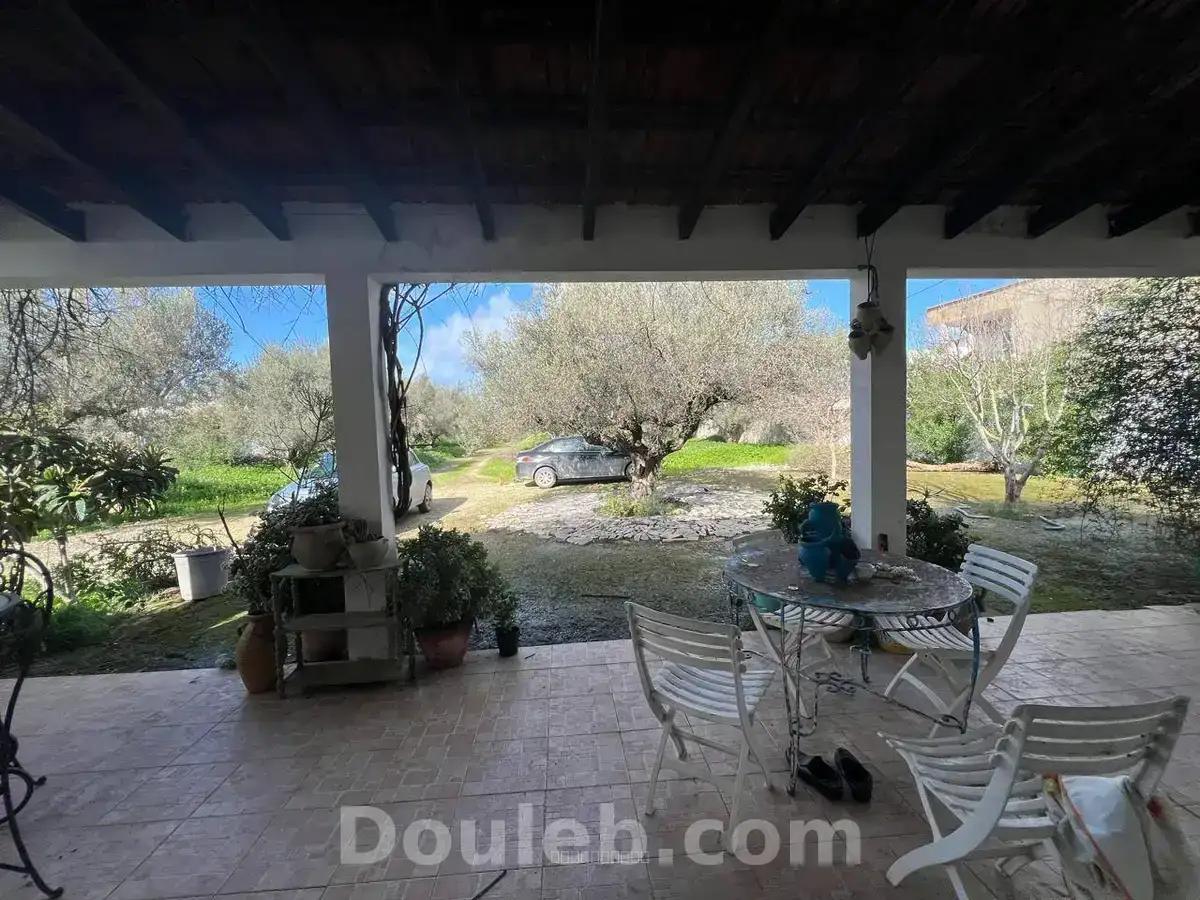 À sidi younes - Miniature 2