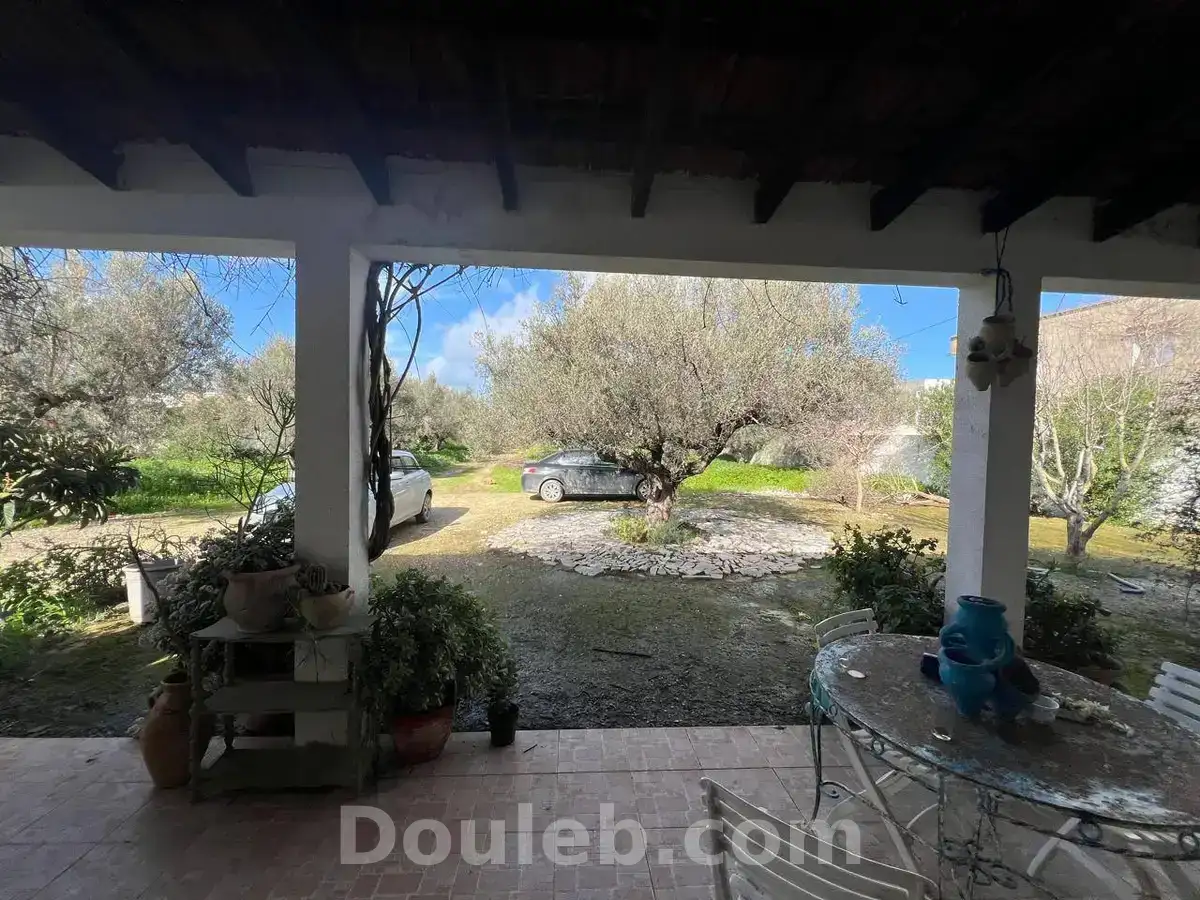 À sidi younes - Miniature 3