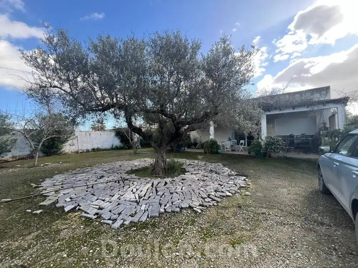 À sidi younes - Miniature 4