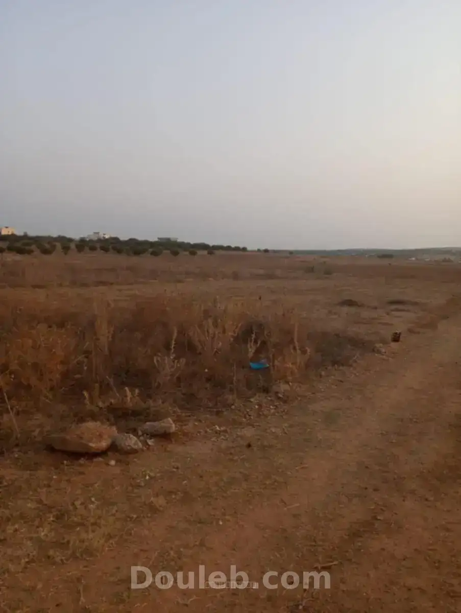 Av terrain 1000m à hammamet sud - Miniature 2