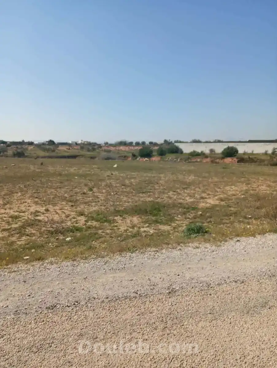 Av 1000m à sidi said proche hammamet - Miniature 2