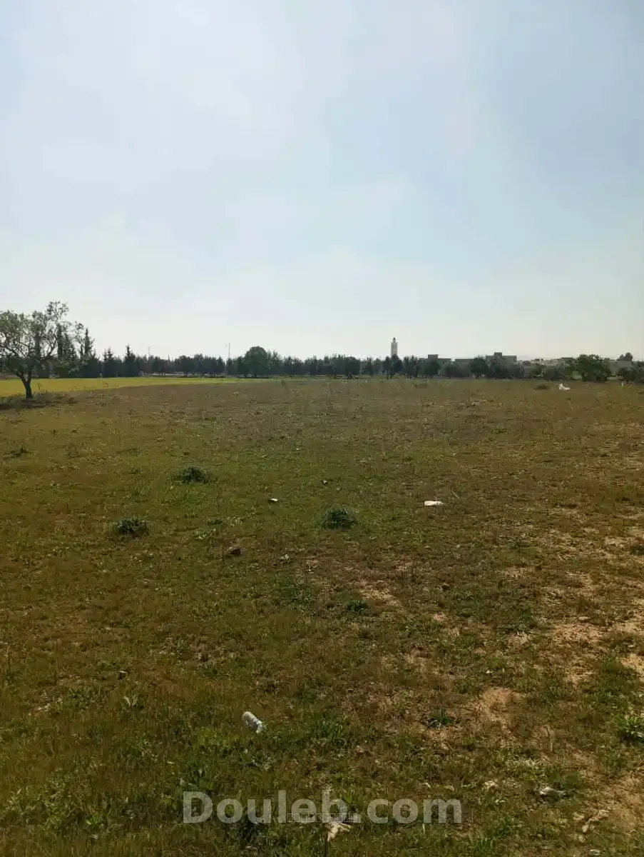 Av 1000m à sidi said proche hammamet - Miniature 3