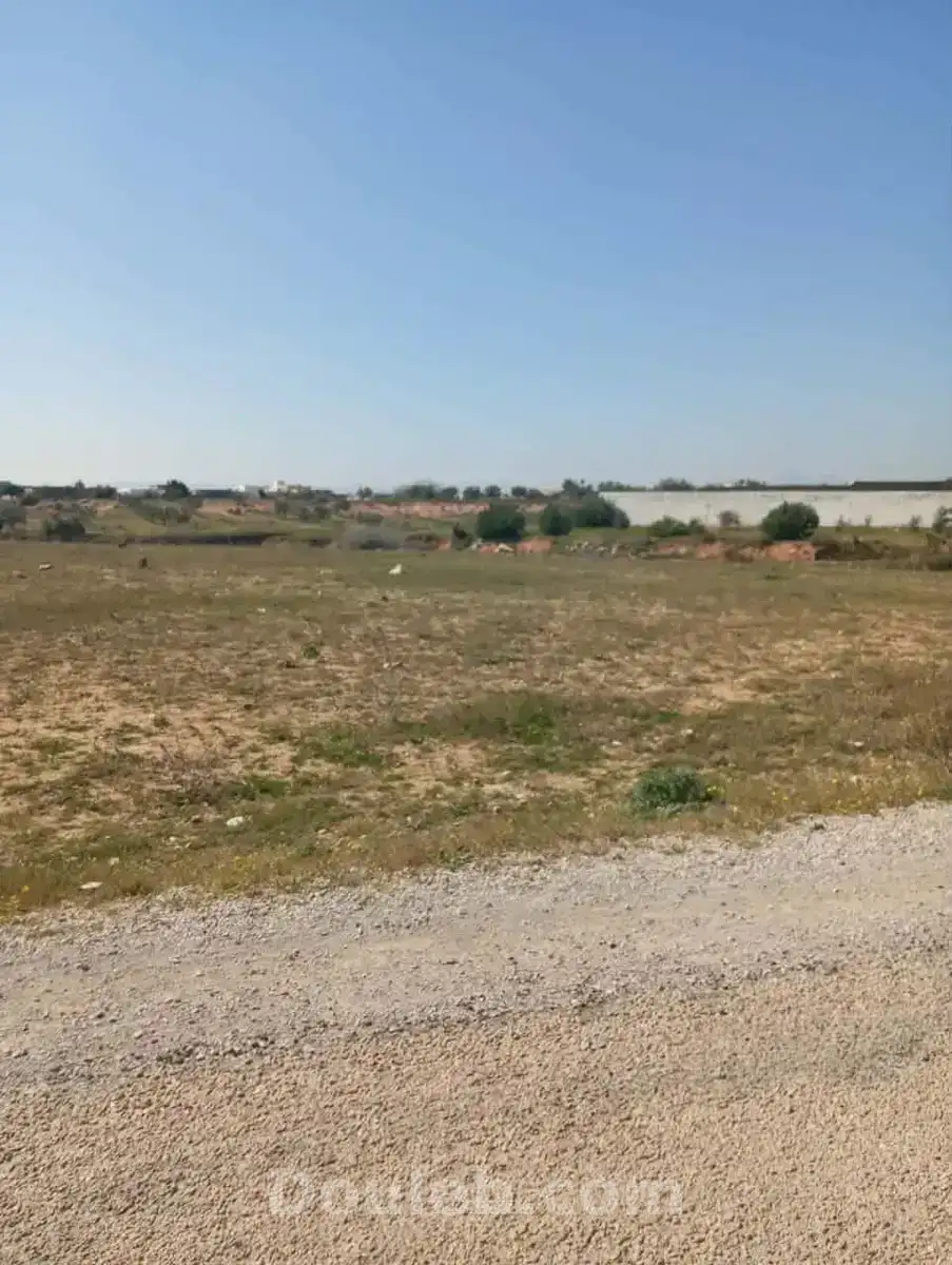 Av 1000m à sidi said proche hammamet - Miniature 4