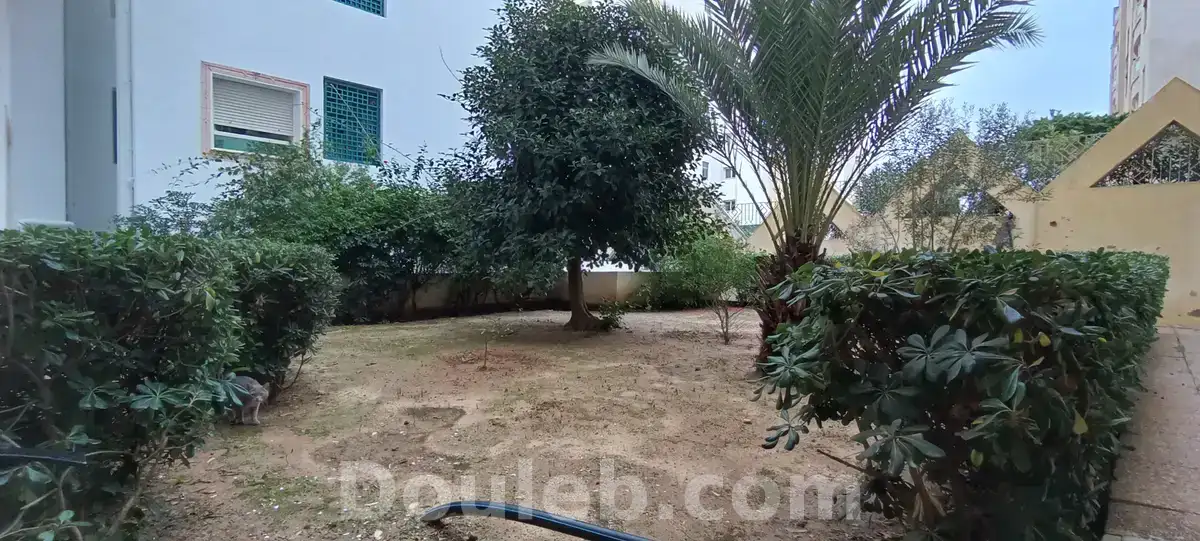 Appartement s3 rdc au ennasr 2 - Photo 1