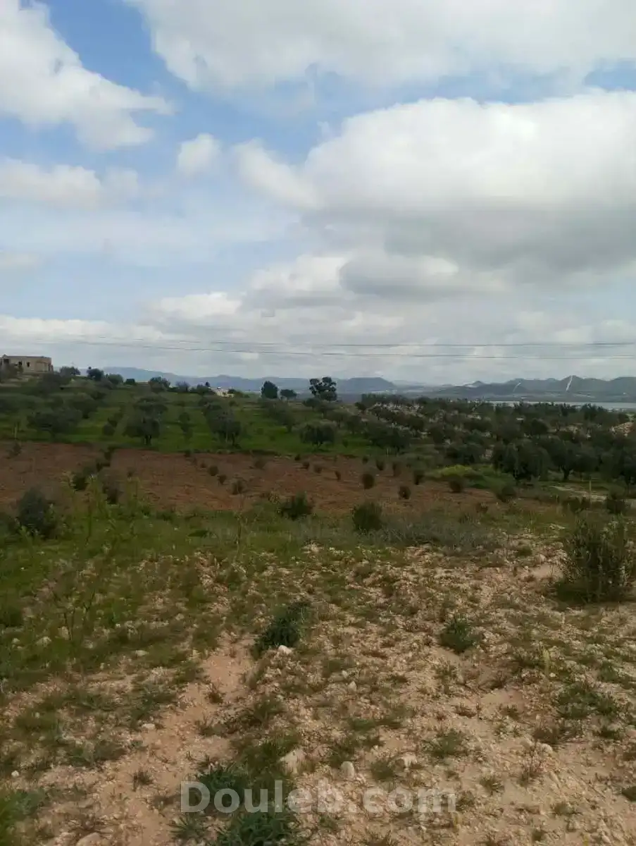 Av terrain 4100m à zaghouan 99958728 - Miniature 2