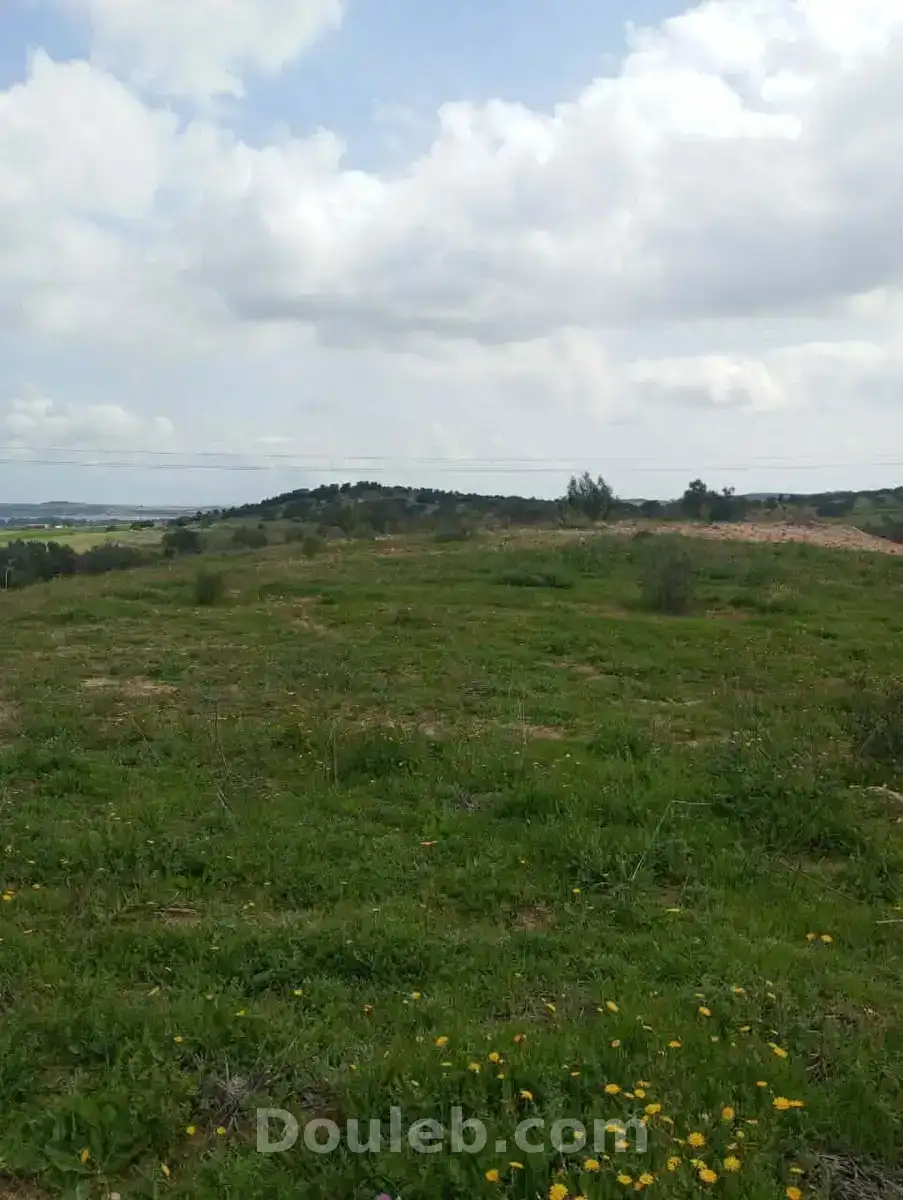 Av terrain 4100m à zaghouan 99958728 - Miniature 3