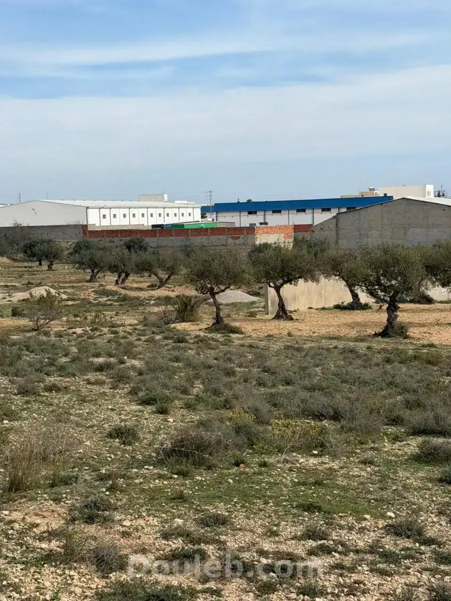 Terrain constructible sousse 30000 m - Miniature 5