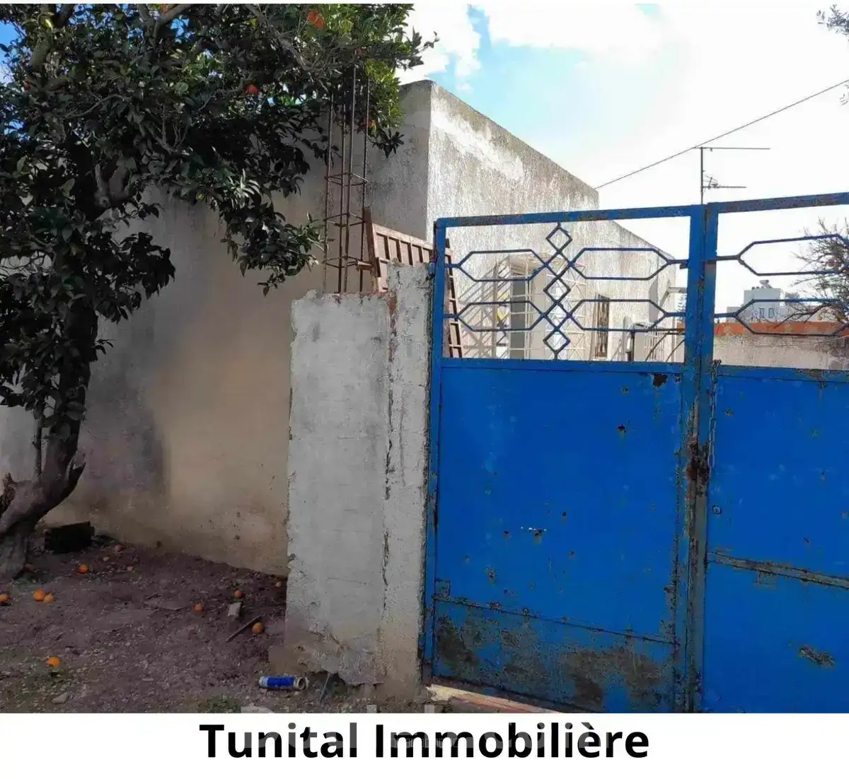 Studio à retaper ou à raser - Miniature 2