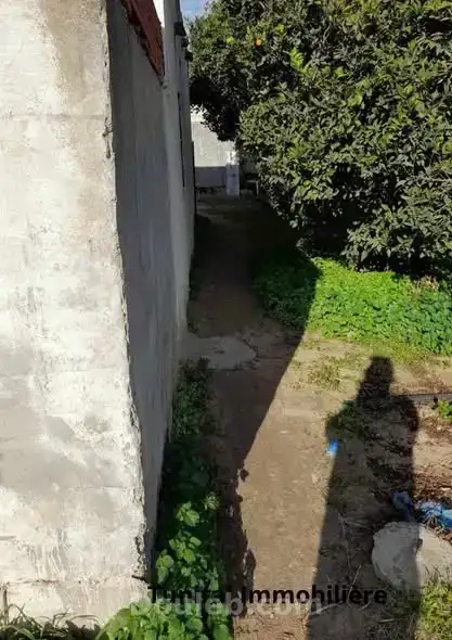 Studio à retaper ou à raser - Miniature 4