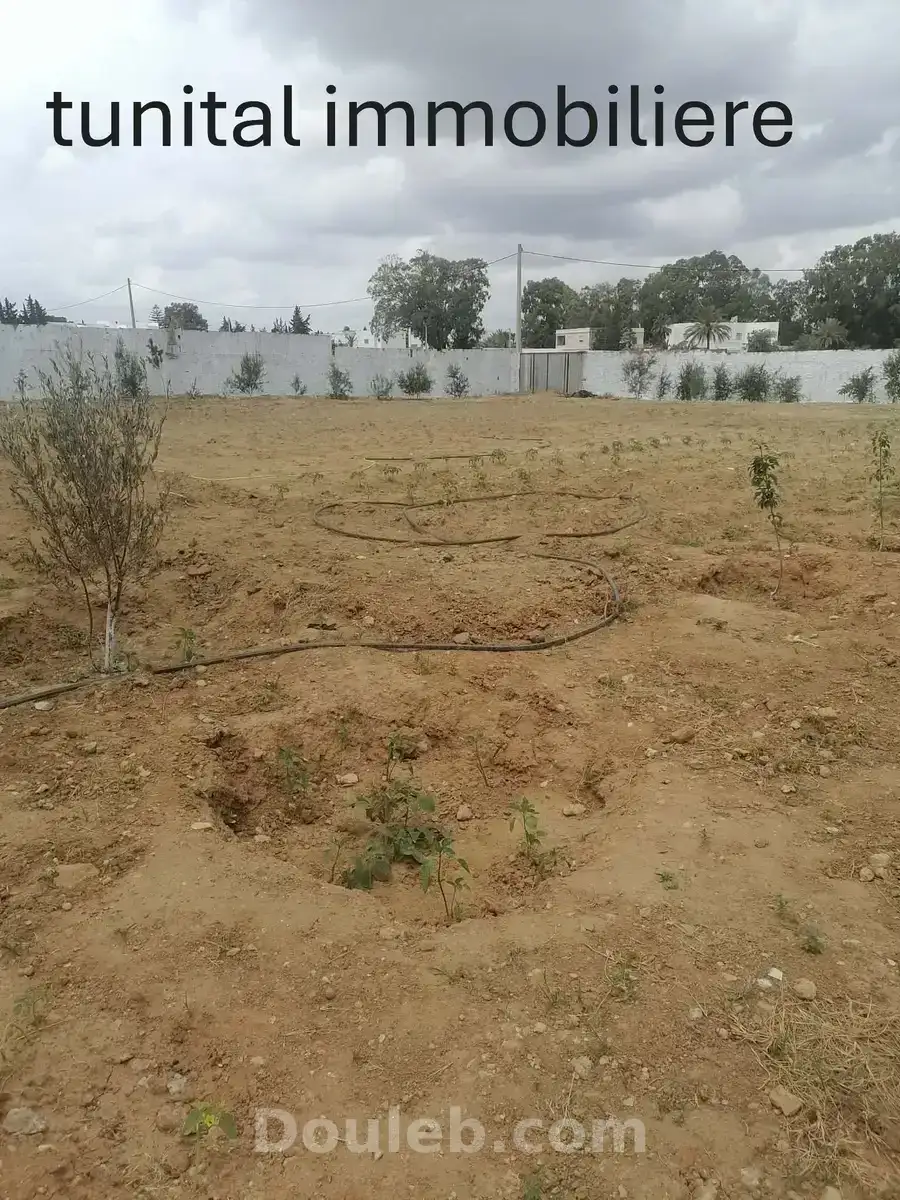 Lots de terrain dans un lotissement à ménagé - Miniature 5